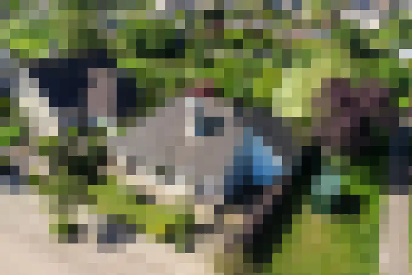Biesheuvellaan 20 Vlijmen thumbnail 65