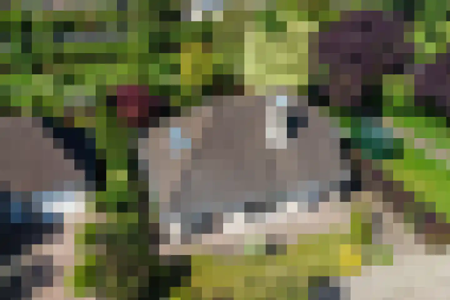 Biesheuvellaan 20 Vlijmen thumbnail 66
