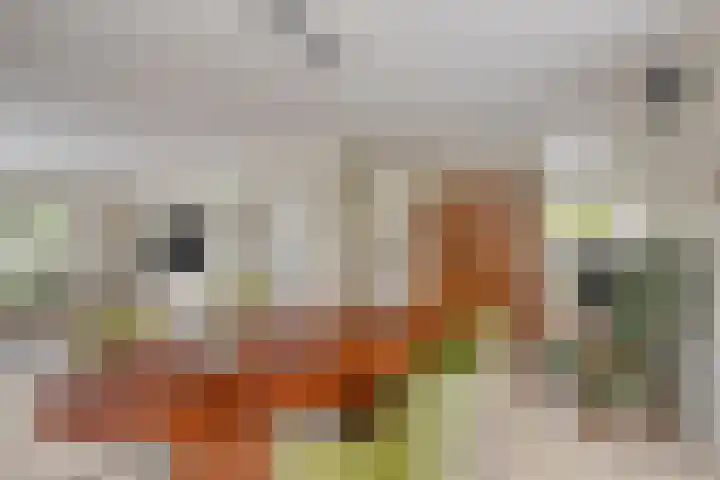 Biesheuvellaan 4 Vlijmen thumbnail 10