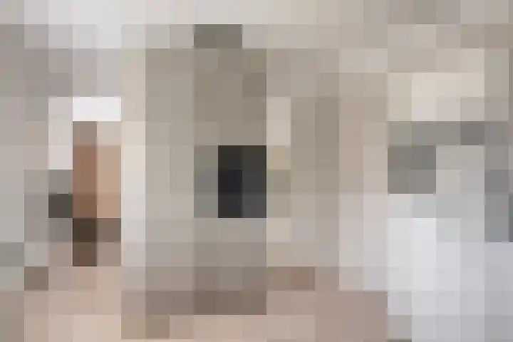 Biesheuvellaan 4 Vlijmen thumbnail 13