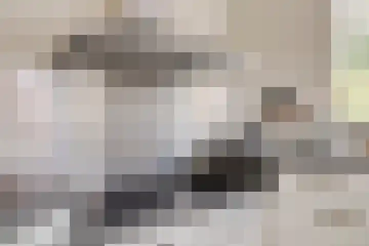 Biesheuvellaan 4 Vlijmen thumbnail 15