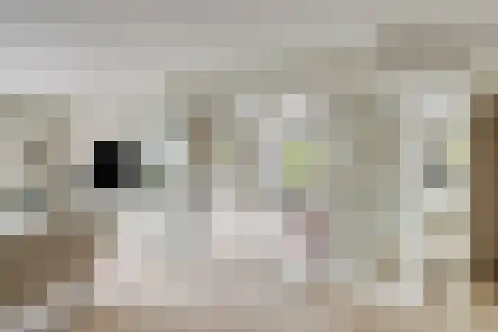 Biesheuvellaan 4 Vlijmen thumbnail 16