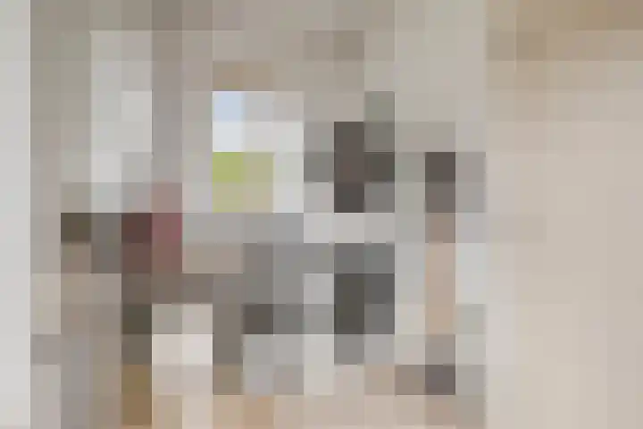 Biesheuvellaan 4 Vlijmen thumbnail 17