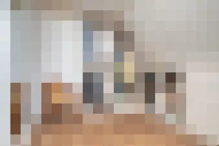 Biesheuvellaan 4 Vlijmen thumbnail 26