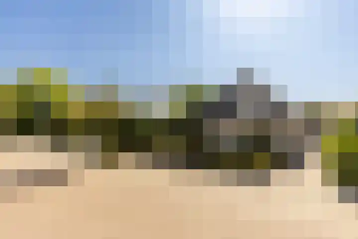 Biesheuvellaan 4 Vlijmen foto 3