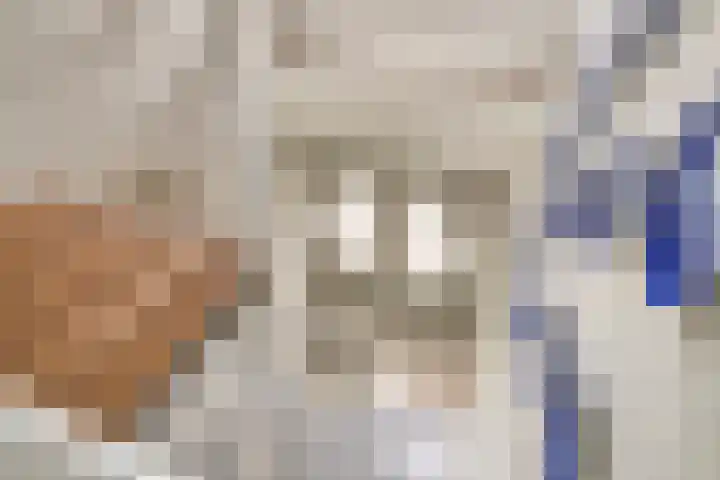 Biesheuvellaan 4 Vlijmen thumbnail 33