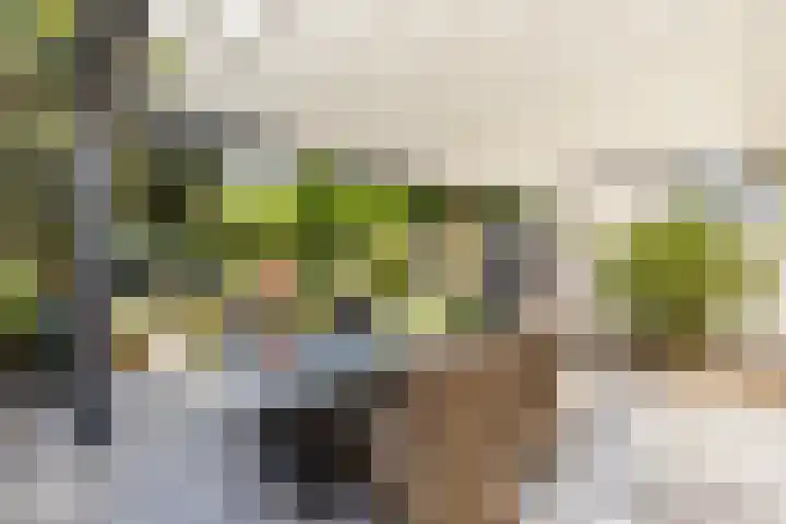 Biesheuvellaan 4 Vlijmen thumbnail 36