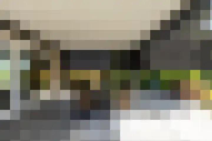 Biesheuvellaan 4 Vlijmen thumbnail 38