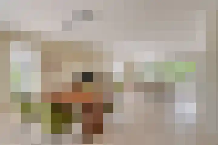 Biesheuvellaan 4 Vlijmen thumbnail 4