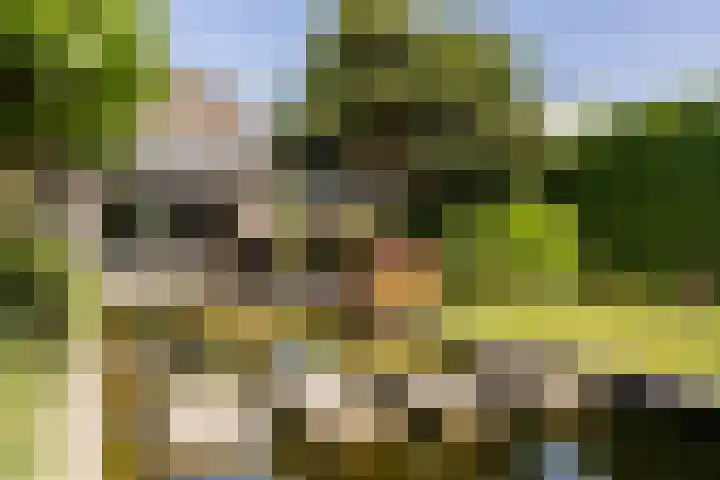 Biesheuvellaan 4 Vlijmen thumbnail 40