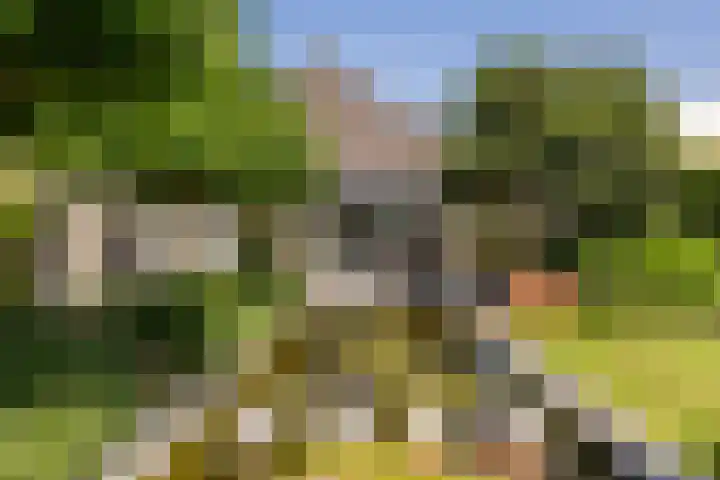 Biesheuvellaan 4 Vlijmen thumbnail 41