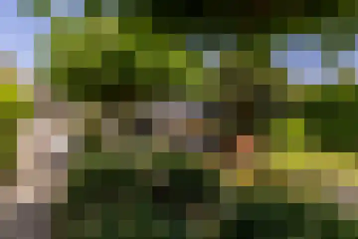Biesheuvellaan 4 Vlijmen thumbnail 42