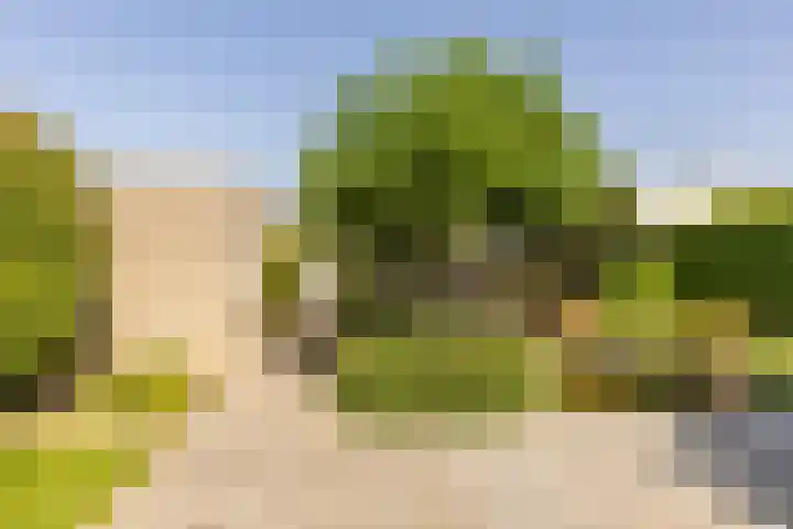 Biesheuvellaan 4 Vlijmen thumbnail 43