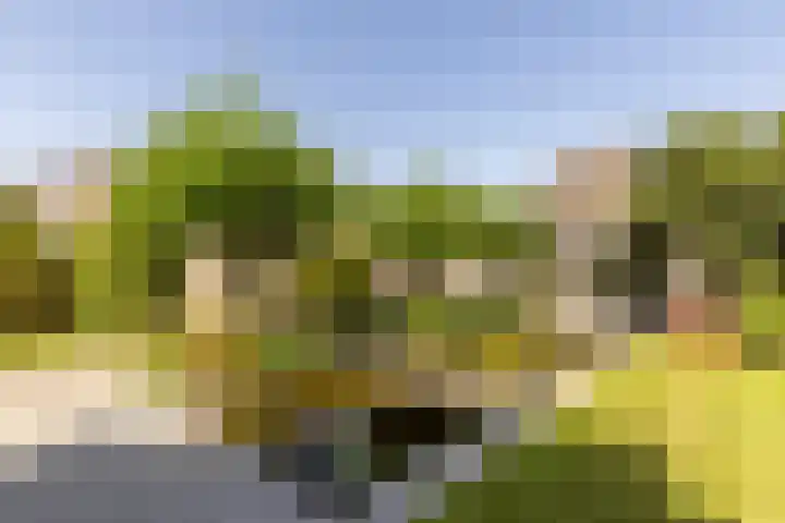 Biesheuvellaan 4 Vlijmen thumbnail 44