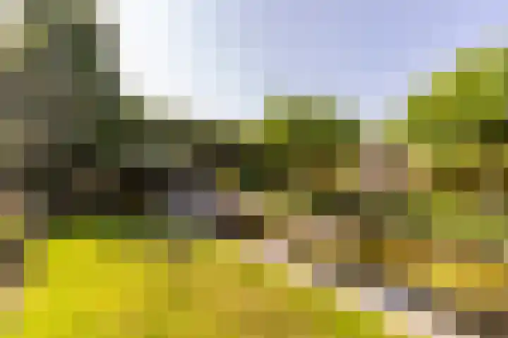 Biesheuvellaan 4 Vlijmen thumbnail 45