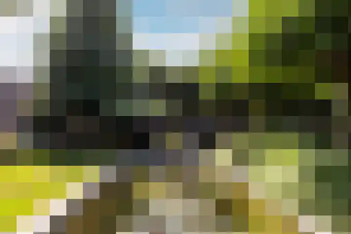 Biesheuvellaan 4 Vlijmen thumbnail 46