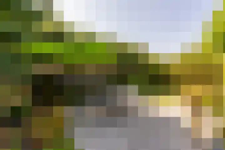 Biesheuvellaan 4 Vlijmen thumbnail 47