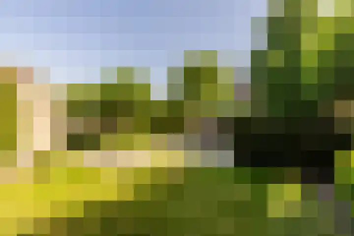 Biesheuvellaan 4 Vlijmen thumbnail 48