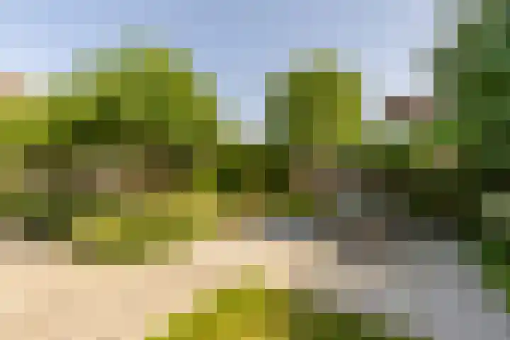 Biesheuvellaan 4 Vlijmen thumbnail 49