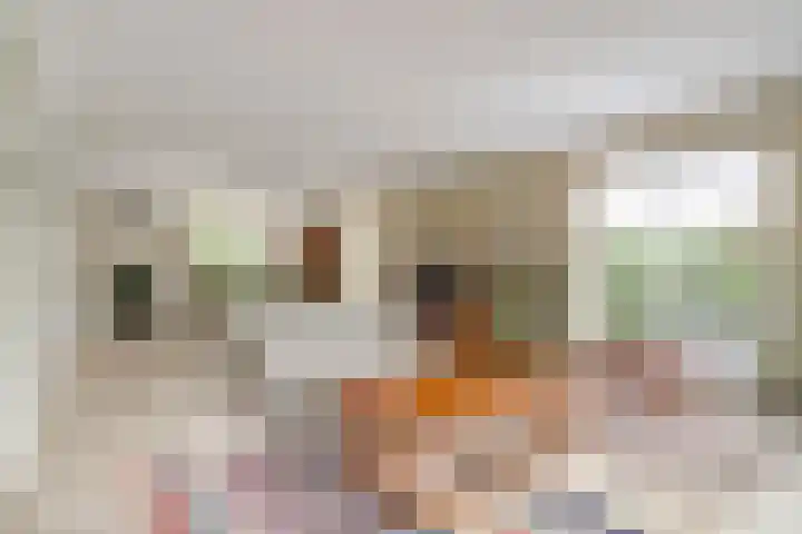Biesheuvellaan 4 Vlijmen thumbnail 5