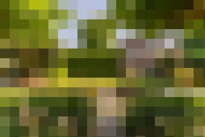 Biesheuvellaan 4 Vlijmen thumbnail 50