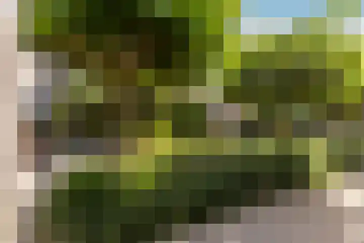 Biesheuvellaan 4 Vlijmen thumbnail 51