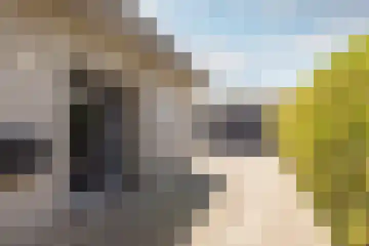 Biesheuvellaan 4 Vlijmen thumbnail 53