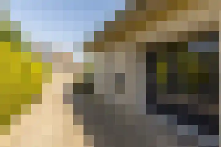 Biesheuvellaan 4 Vlijmen thumbnail 56