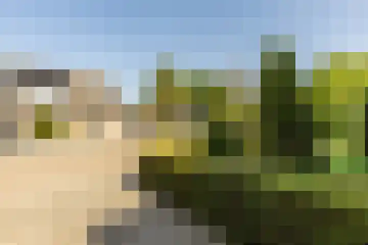Biesheuvellaan 4 Vlijmen thumbnail 57