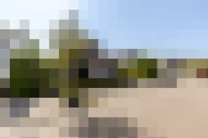 Biesheuvellaan 4 Vlijmen thumbnail 61
