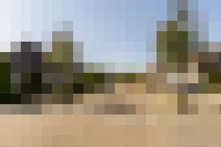 Biesheuvellaan 4 Vlijmen thumbnail 62
