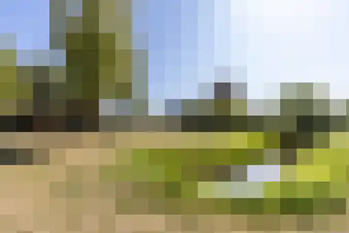 Biesheuvellaan 4 Vlijmen thumbnail 63