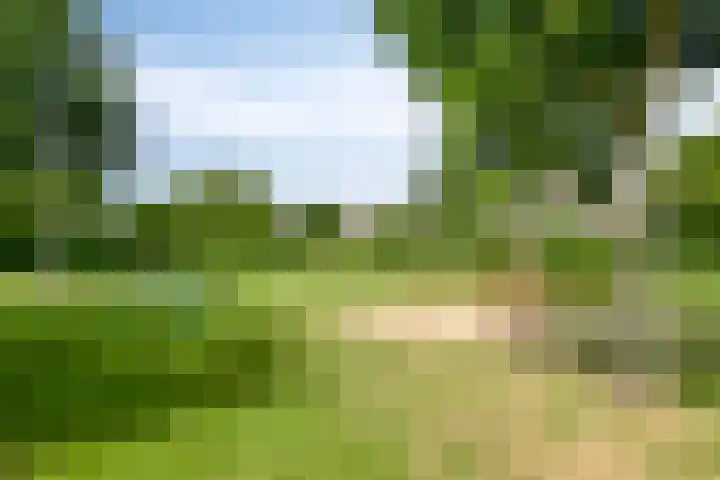 Biesheuvellaan 4 Vlijmen thumbnail 65