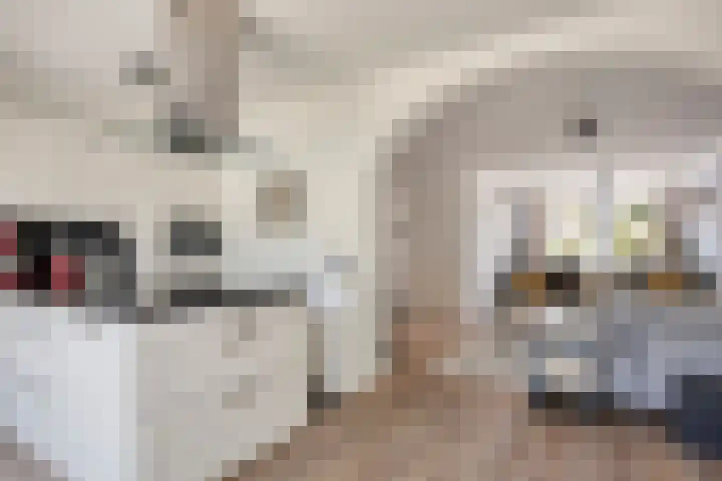 Biesheuvellaan 7 Vlijmen thumbnail 15