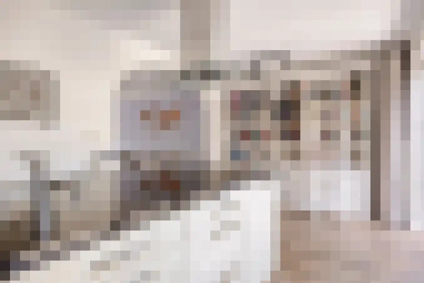 Biesheuvellaan 7 Vlijmen thumbnail 17