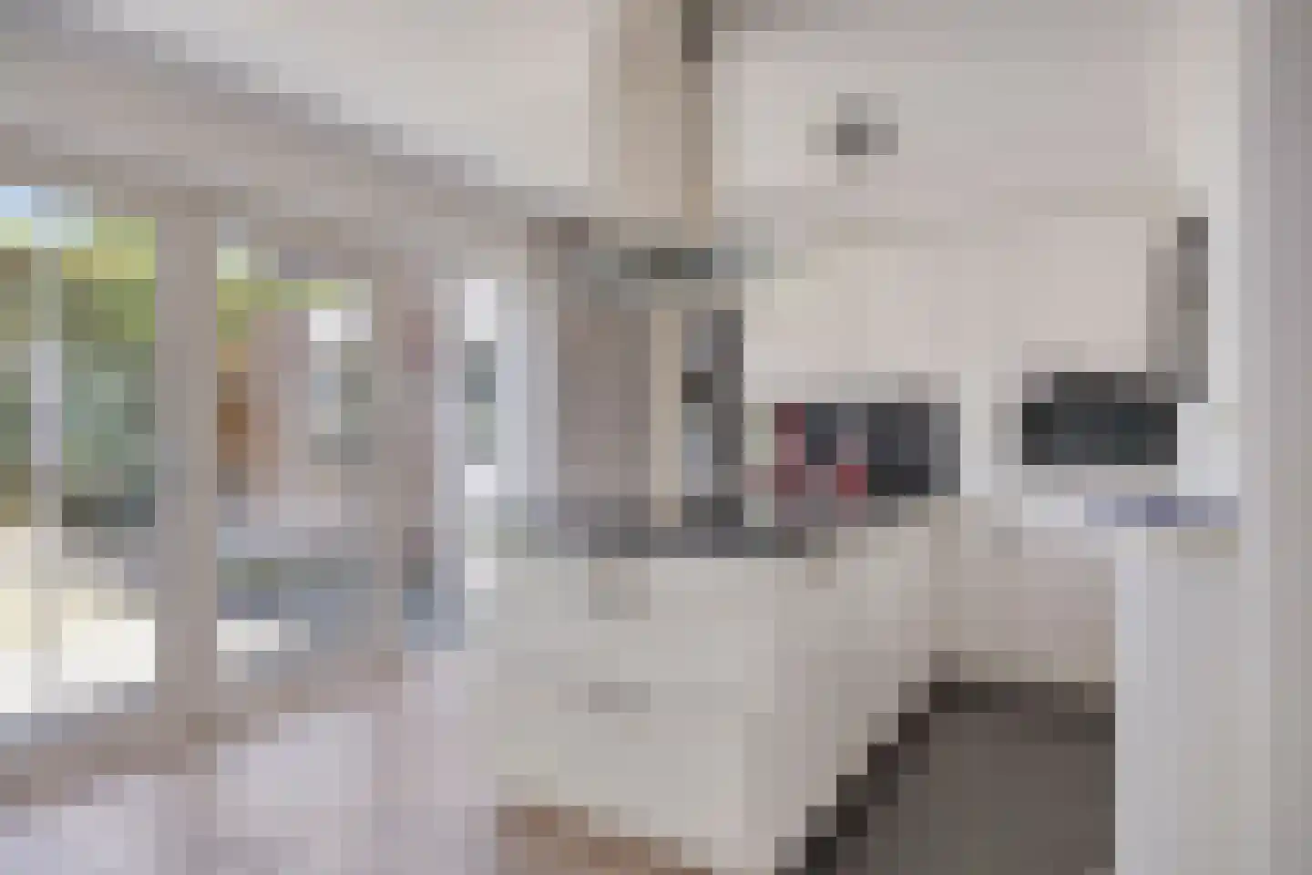Biesheuvellaan 7 Vlijmen foto 2