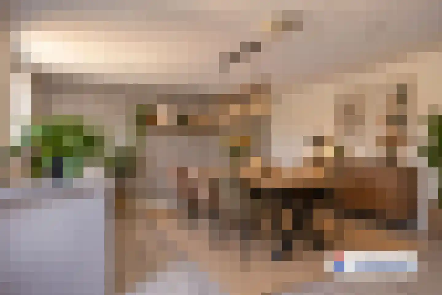 Biesheuvellaan 7 Vlijmen thumbnail 23