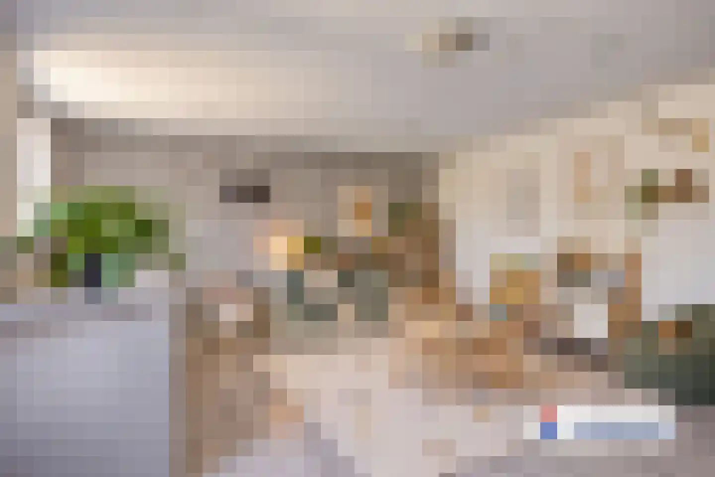 Biesheuvellaan 7 Vlijmen thumbnail 24