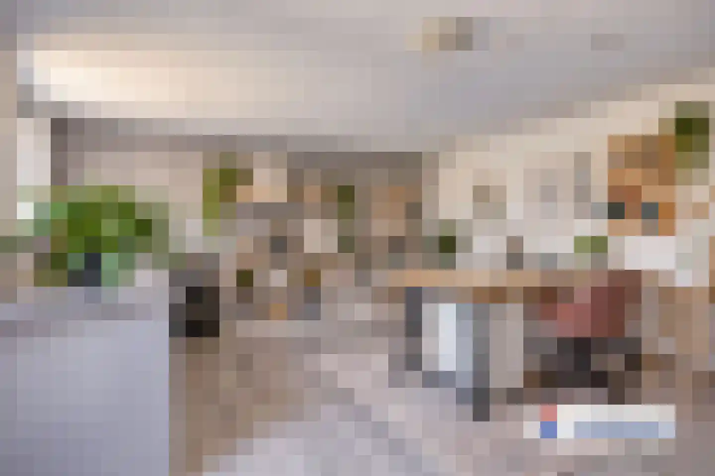 Biesheuvellaan 7 Vlijmen thumbnail 26