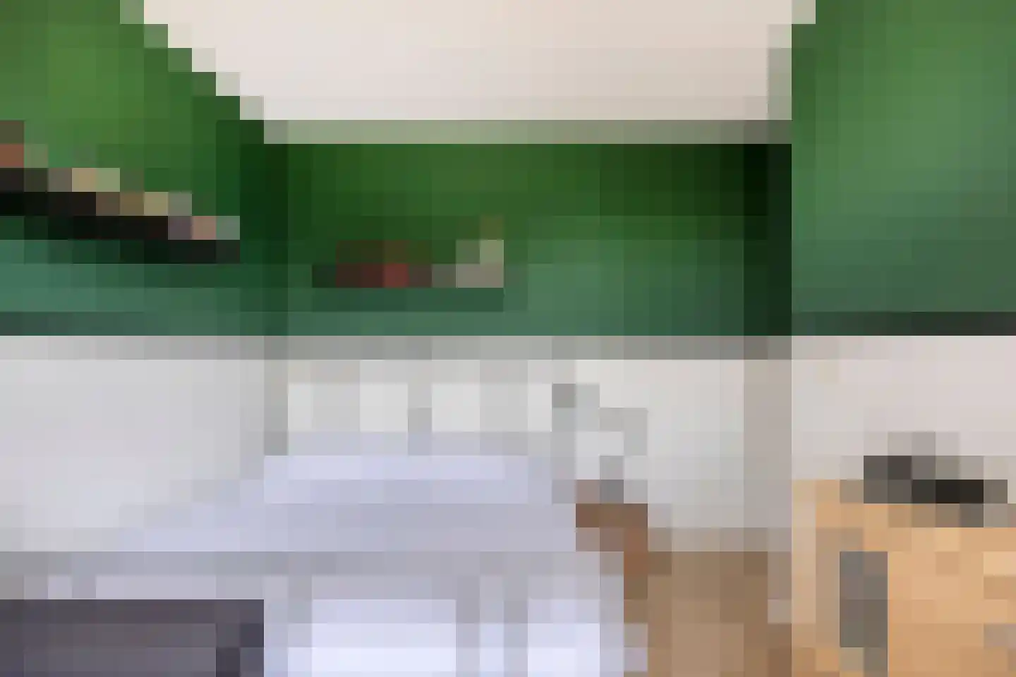 Biesheuvellaan 7 Vlijmen thumbnail 29
