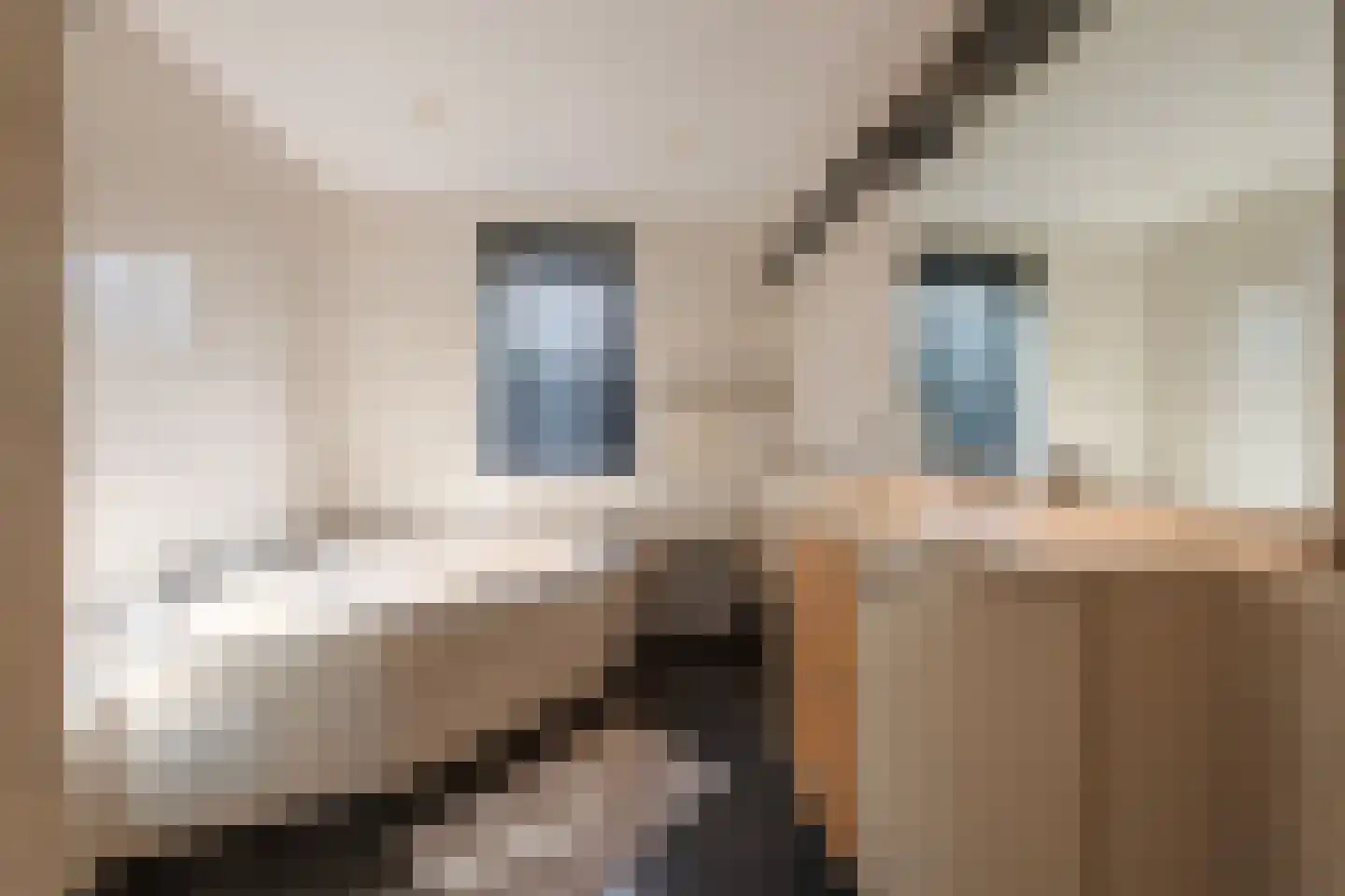 Biesheuvellaan 7 Vlijmen thumbnail 31