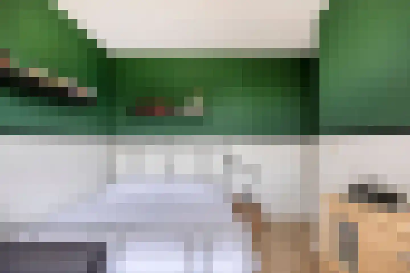 Biesheuvellaan 7 Vlijmen thumbnail 33