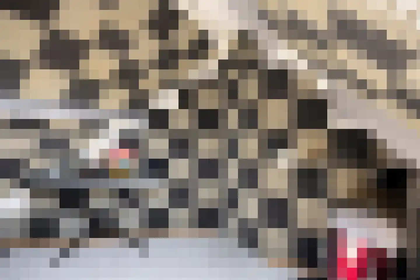 Biesheuvellaan 7 Vlijmen thumbnail 34