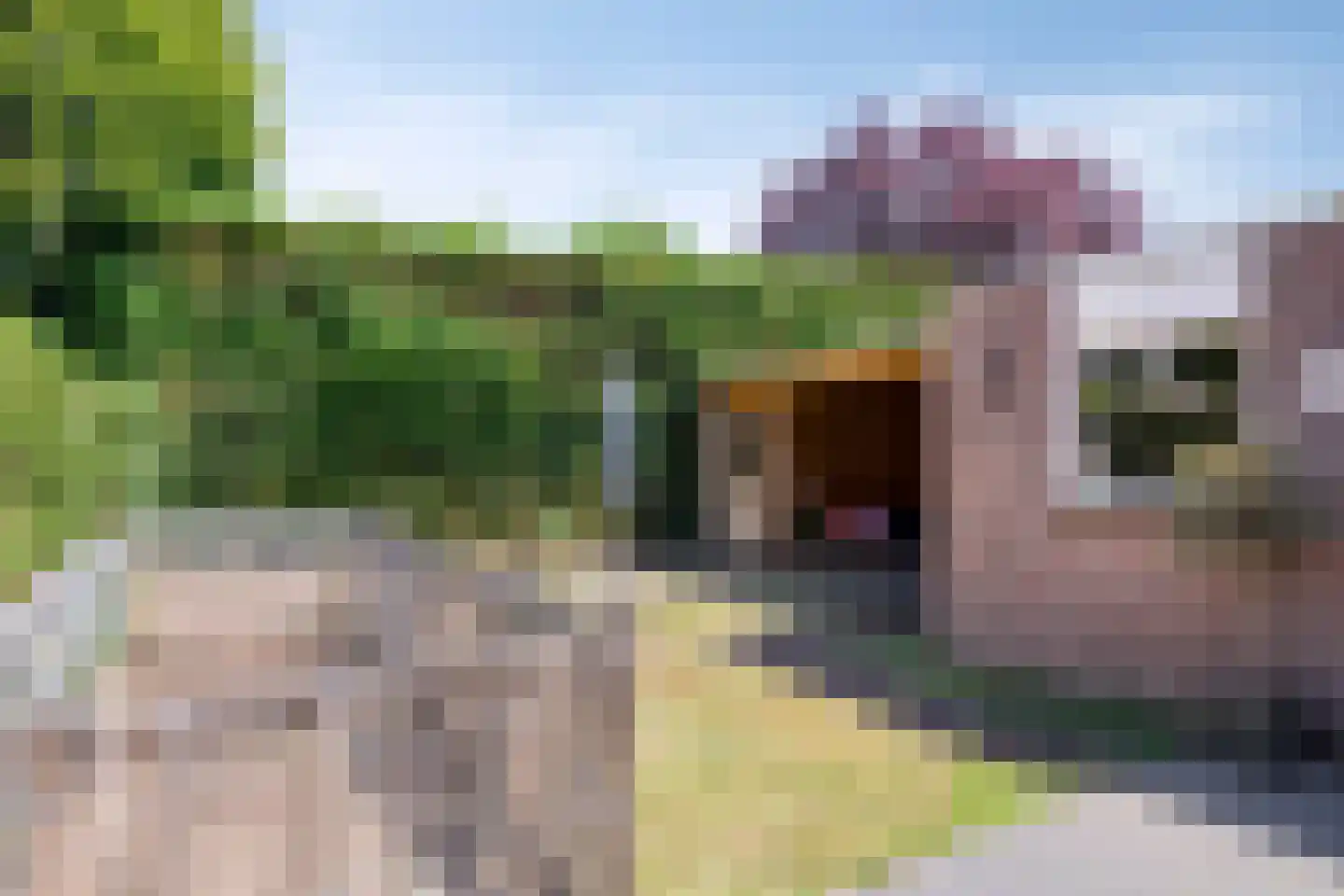 Biesheuvellaan 7 Vlijmen thumbnail 39