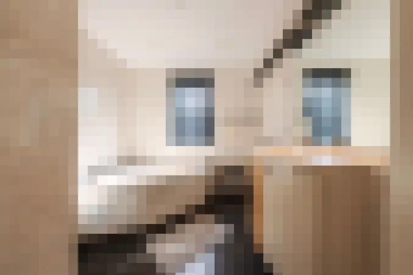 Biesheuvellaan 7 Vlijmen thumbnail 6