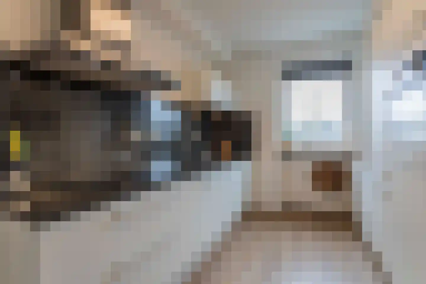 Biesheuvelstraat 147 Hoofddorp thumbnail 18