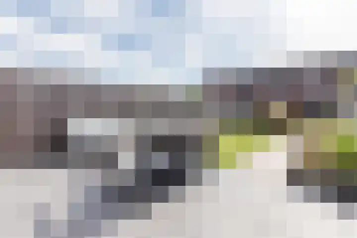 Biesheuvelstraat 41 Hoofddorp thumbnail 34