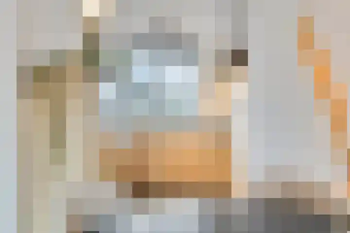 Biesheuvelstraat 8 Sint-Oedenrode thumbnail 20