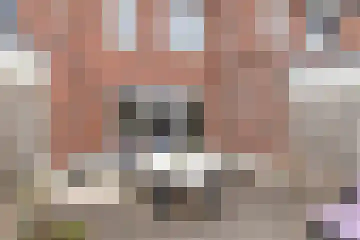 Biesheuvelstraat 8 Sint-Oedenrode thumbnail 38