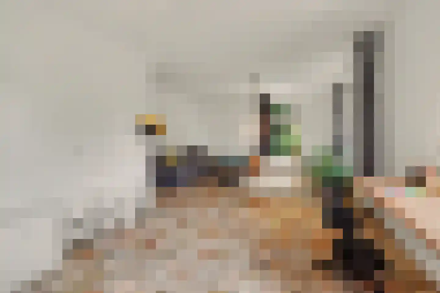 Bieshof 4 Hoogeloon thumbnail 10